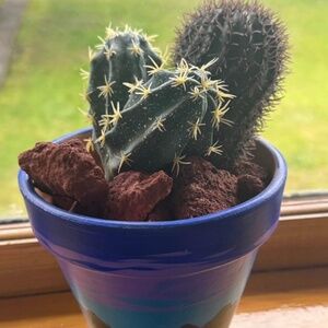 High quality faux cactus fake plant w rocks, painted southwestern planter pot